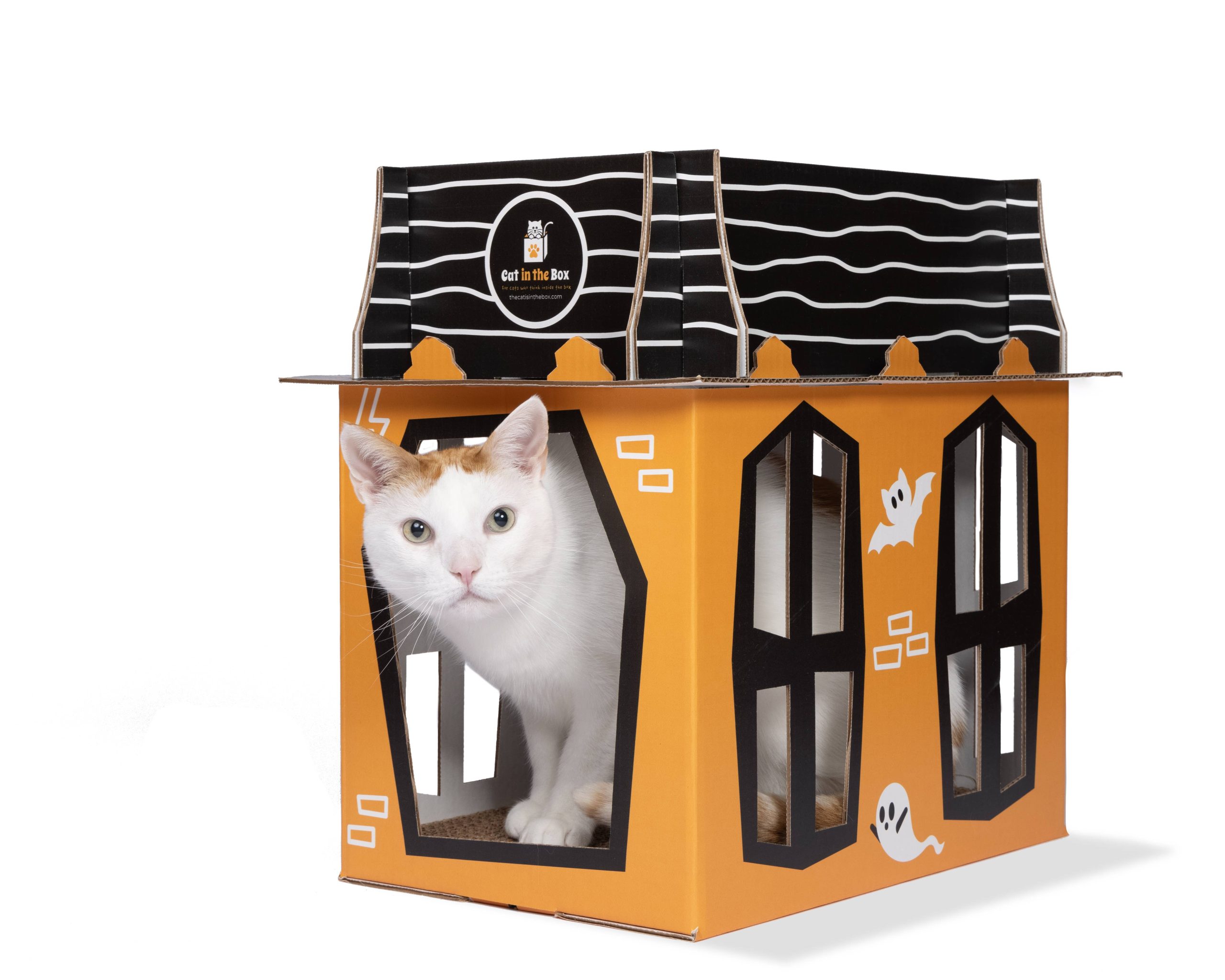 the-official-store-of-spooky-cat-haunted-house-cardboard-box-playhouse-for-cats-cheap_0.jpg